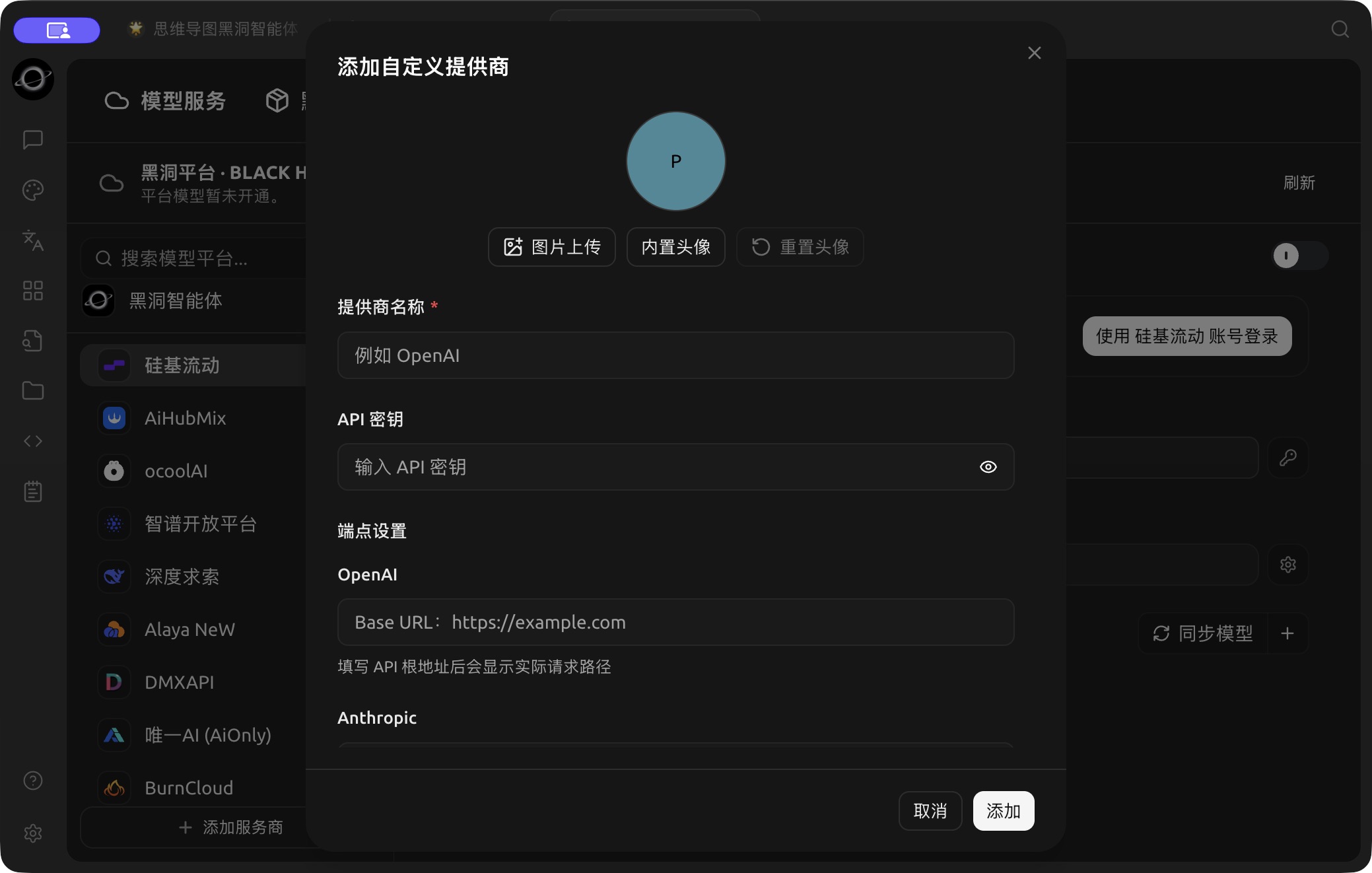 自定义提供商的名称、密钥与协议端点设置。